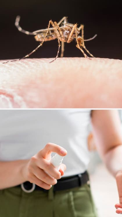 Dengue In Bengaluru -7 tips to keep yourself safe THIS monsoon