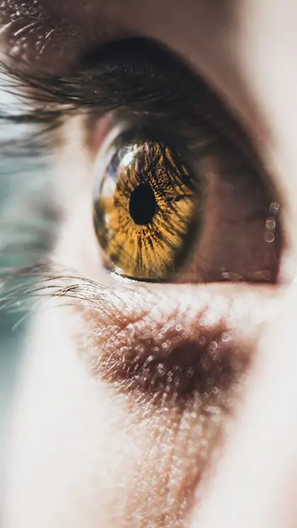 World Sight Day 2023: 7 common eye conditions found in children