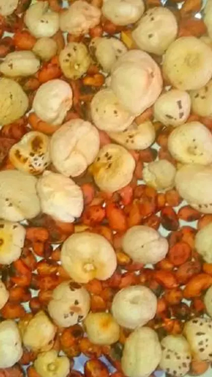 Makhana Mixer