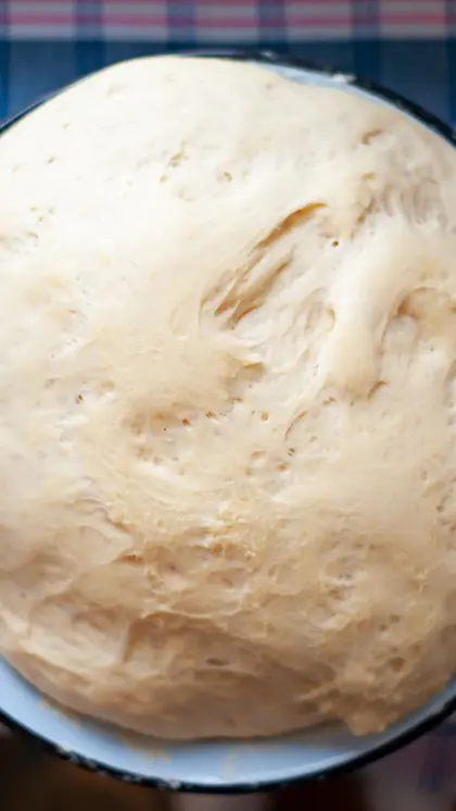 2. Resting the Dough: