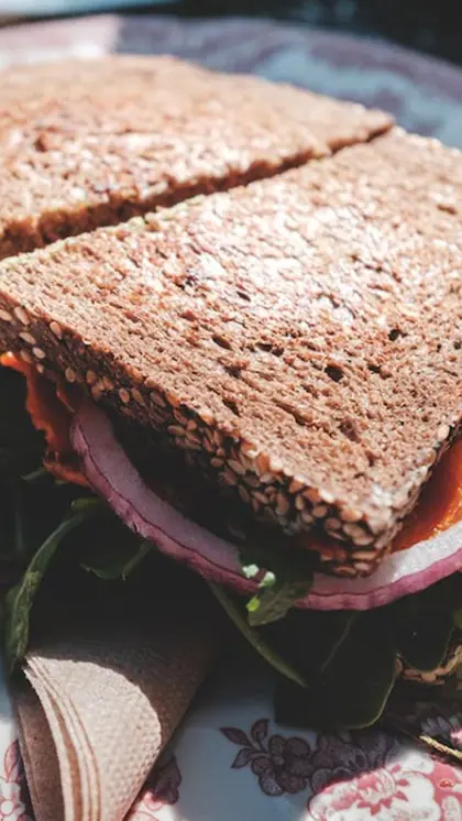 Grilled Veggie Sandwich