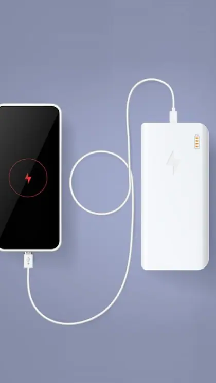 3. Portable Charger: