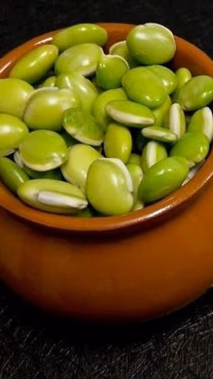 टायफाइड में क्या नहीं खाना चाहिए?