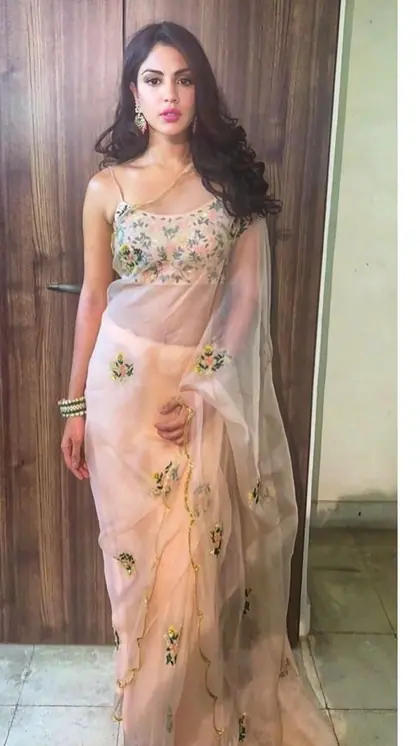 नेट साड़ी