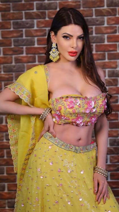 हैवी बस्ट पर खिलेंगे Sherlyn Chopra के ब्लाउज डिजाइन