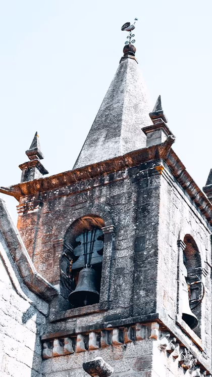 Ayodhya Ram temple to get 2,400 kg bell from UP's Etah