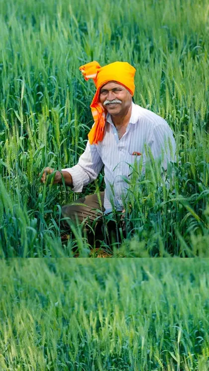 Rs 6,000 per year for farmers