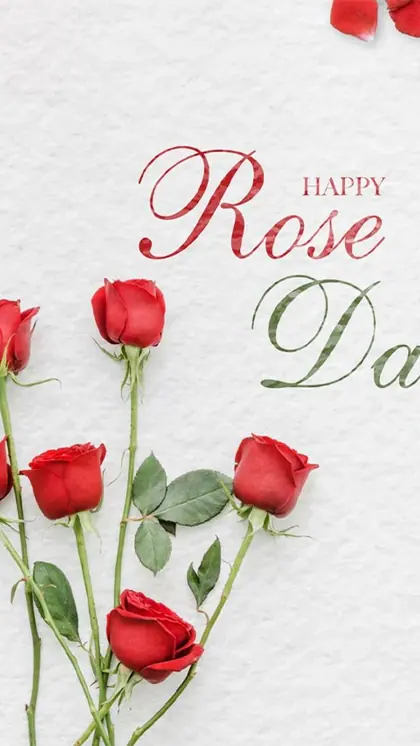 Rose Day (February 7th)