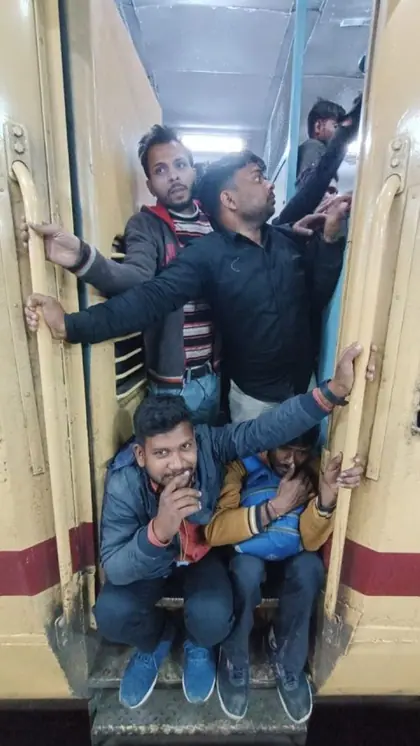 भेड़ बकरी की तरह इंसान