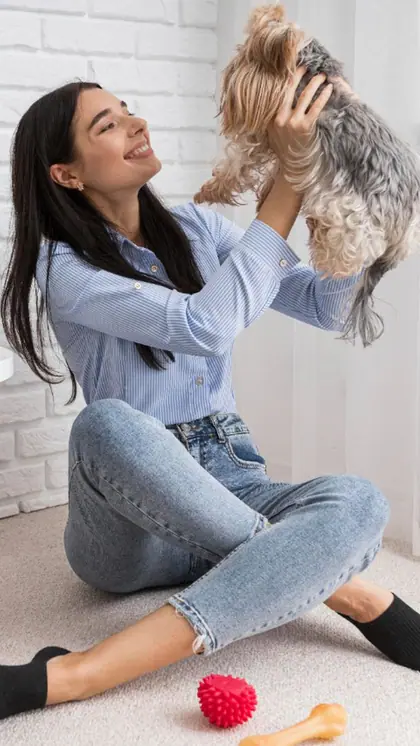 Play with pets