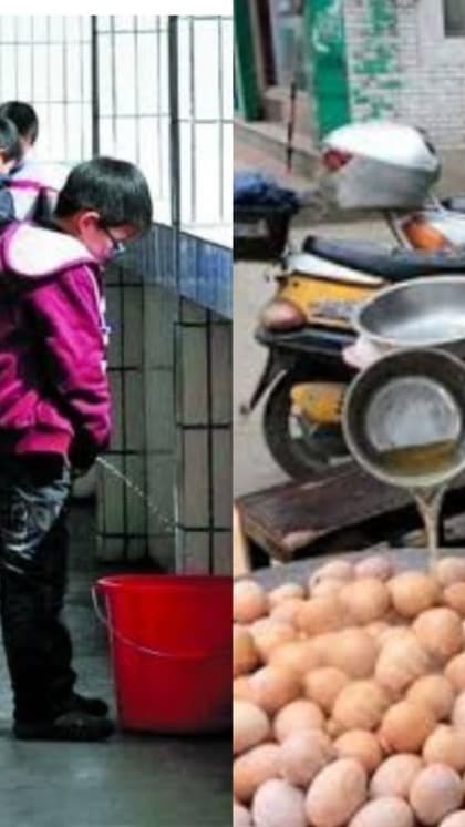 यूरिन में उबाल कर खाते हैं अंडे, स्कूलों में इकठ्ठा होता है पेशाब
