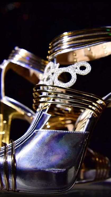 passion diamond shoes price