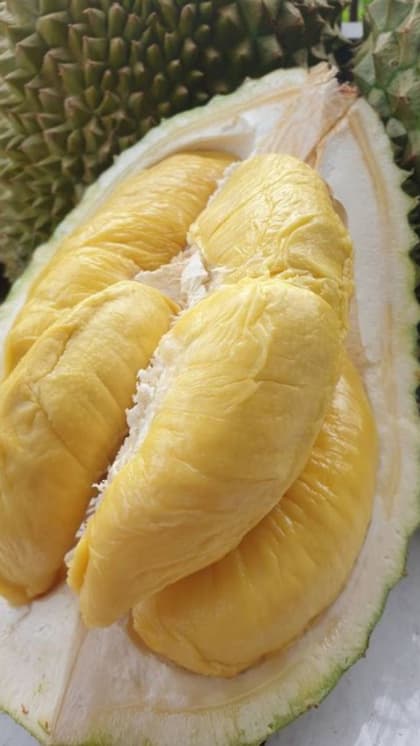 Durian
