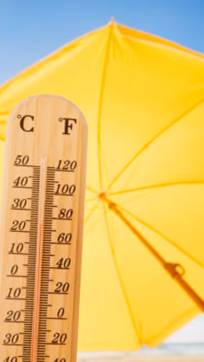 6 things to avoid during a heatwave