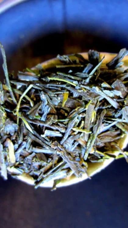 दार्जिलिंग की दुकान में पाई जाती है सबसे महंगी चाय