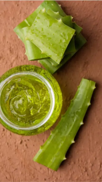 Aloe Vera Gel
