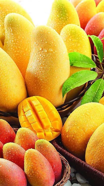 इम्यूनिटी बढ़ाकर संक्रमण से लड़ता है आम