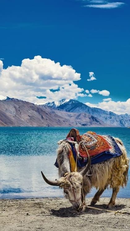पैंगोंग लेक (Pangong Lake)
