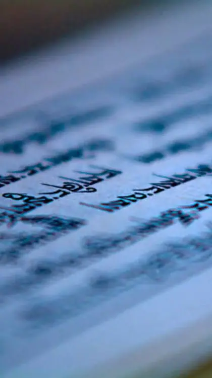 What is Sanskrit language?