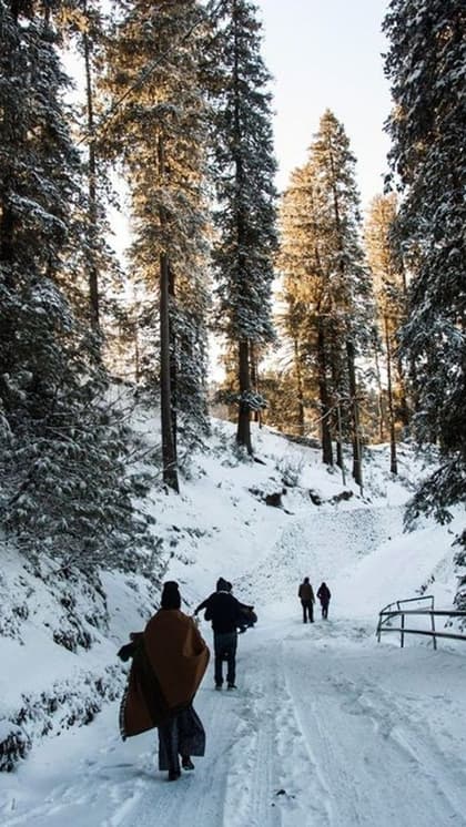 बर्फबारी का मजा लेना है तो चलिए कुफरी  (Kufri Hill Station Shimla)