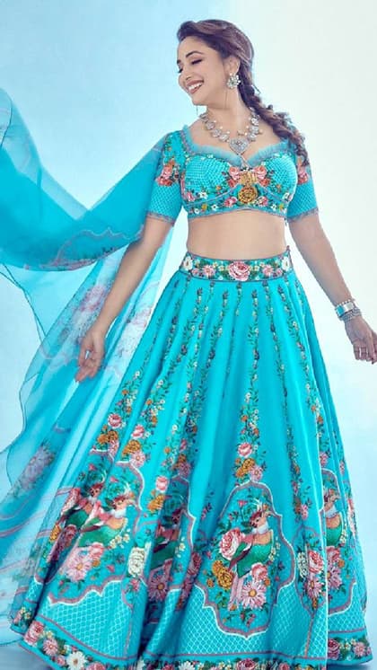 धक-धक धड़केगा पतिदेव का दिल! बनवा लें Madhuri Dixit से 7 Blouse Design