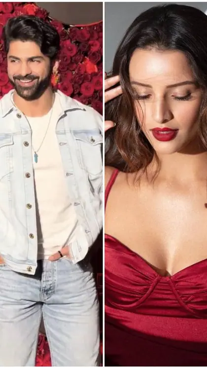 Triptii Dimri to Taha Shah: 7 Actors who became national crushes