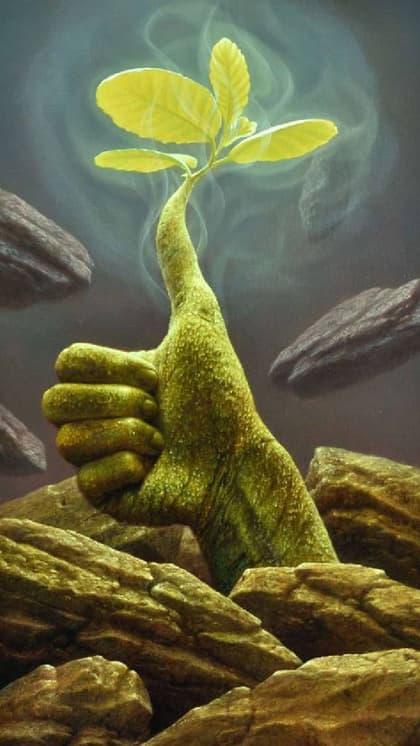 World Environment Day2024:मैसेज भेज पर्यावरण का महत्व समझाएं अपनों को