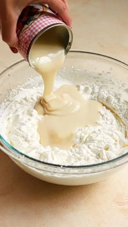 कंडेंस्ड मिल्क वेनिला आइसक्रीम (Condensed Milk Ice cream  )