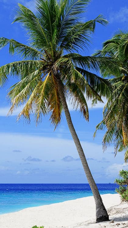 बाली (Bali)