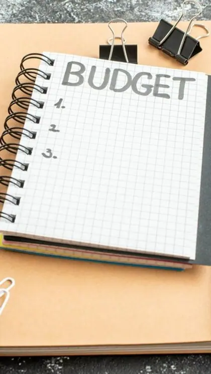 Budget 2024: नौकरीपेशा के लिए खुलेगा पिटारा! टैक्स में मिल सकती है छूट
