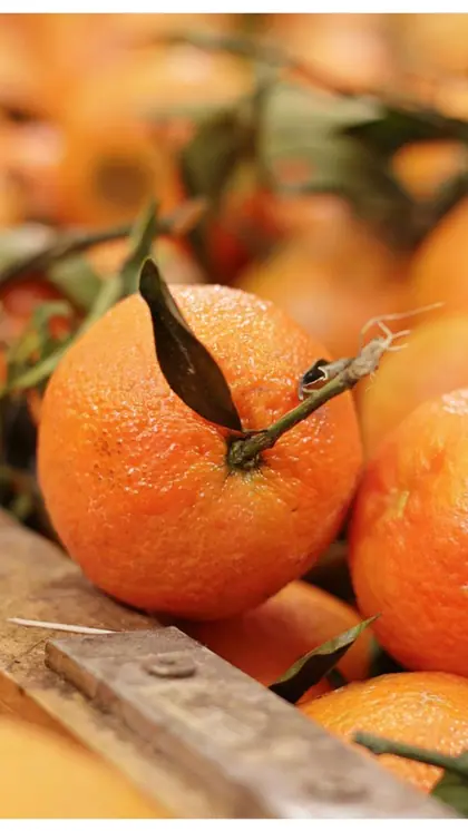Eat Antioxidant-Rich Foods