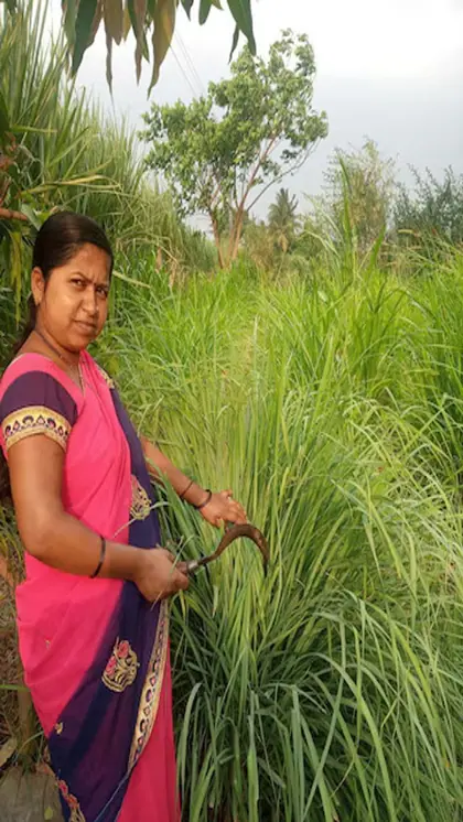 स्टेट गर्वनमेंट पर पड़ेगा इतना बोझ
