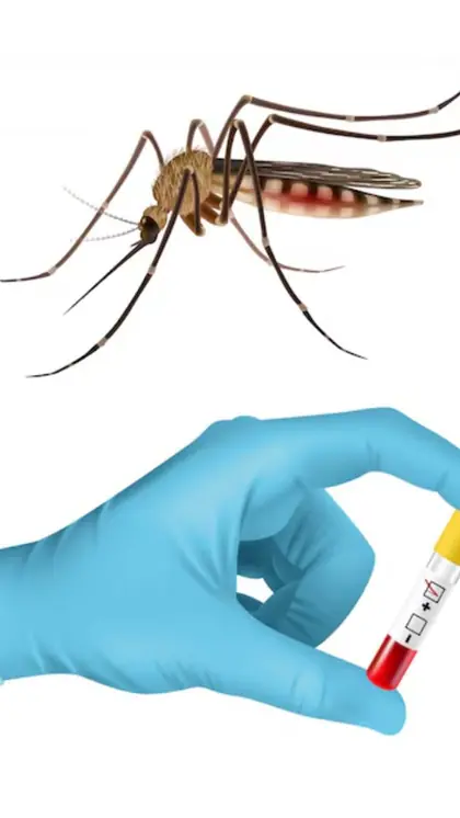 5 ways to avoid dengue fever during monsoon