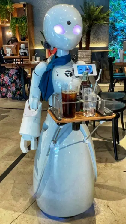 Civil Servant Robot in South Korea