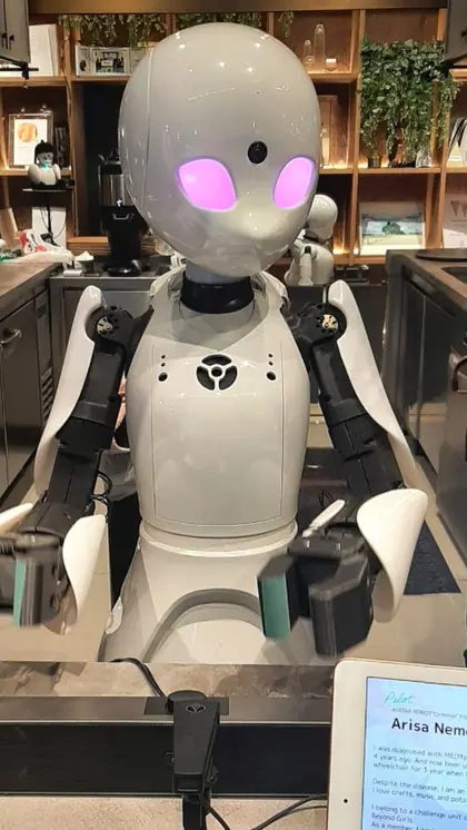 Robot Supervisor