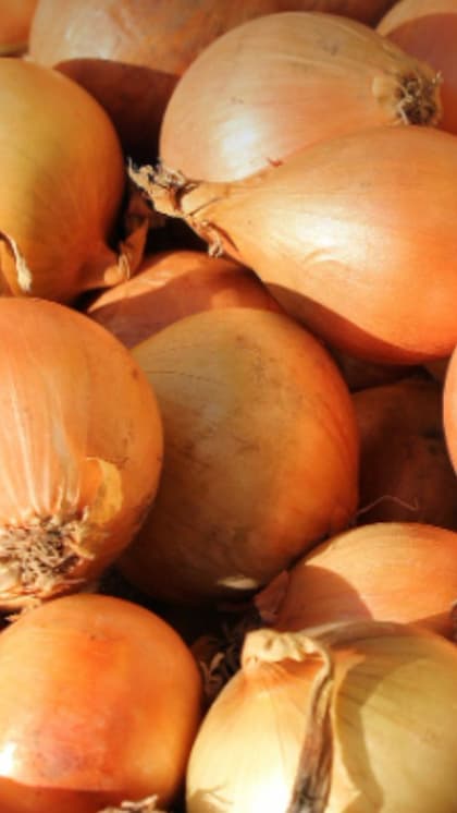 Onion and Garlic