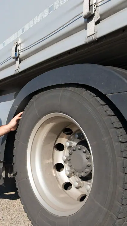 Vulcanized rubber