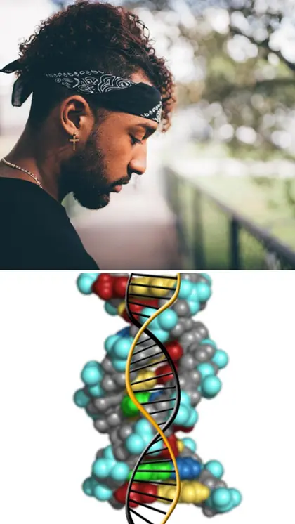 What is the Y chromosome? Why is it disappearing in men?