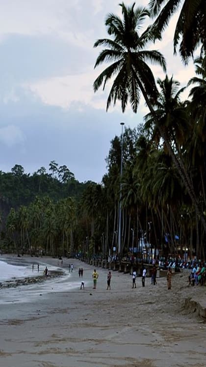 This is the best season to visit Parrot Island