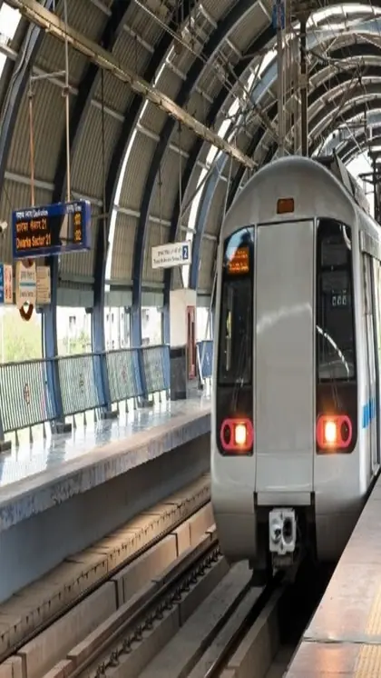 दिल्ली मेट्रो में बिना टिकट क्या सजा?