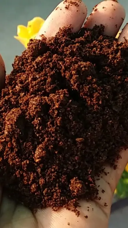 Making Compost