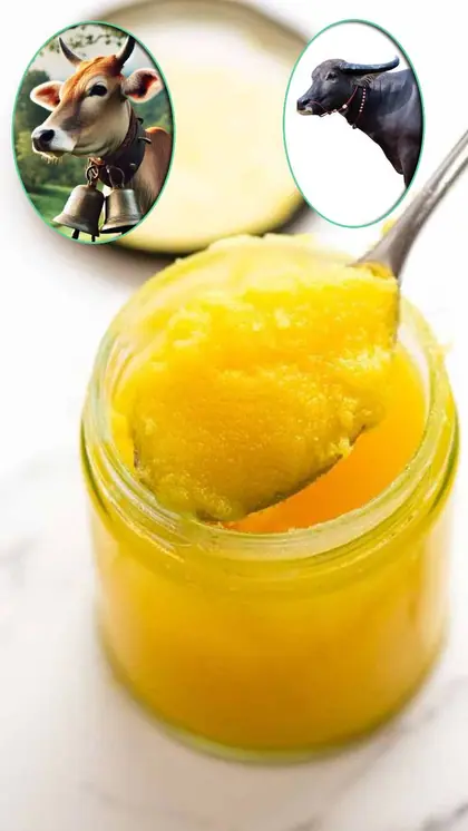 Which Ghee is Better?