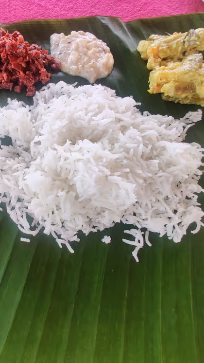 चावल खाने का सही समय जानिए