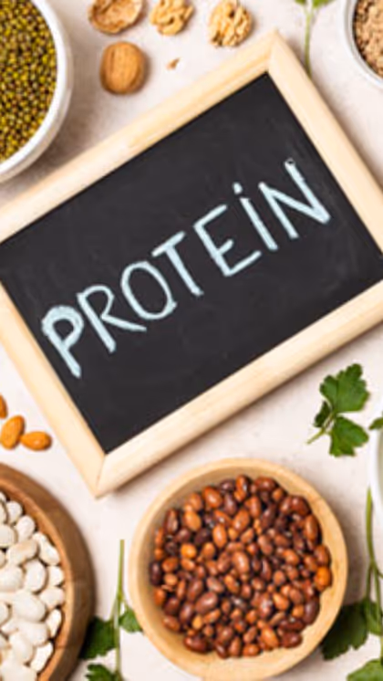 Guide to optimal wellness: Top protein sources to boost your health