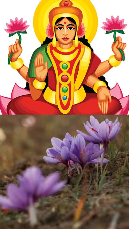 Lavender to Jasmine: 5 Fragrances to get Goddess Lakshmi's Blessings