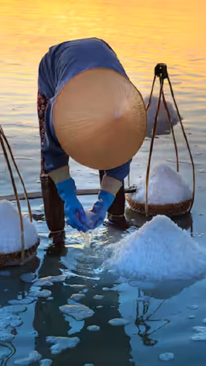 Top 5 Salt Producing Countries