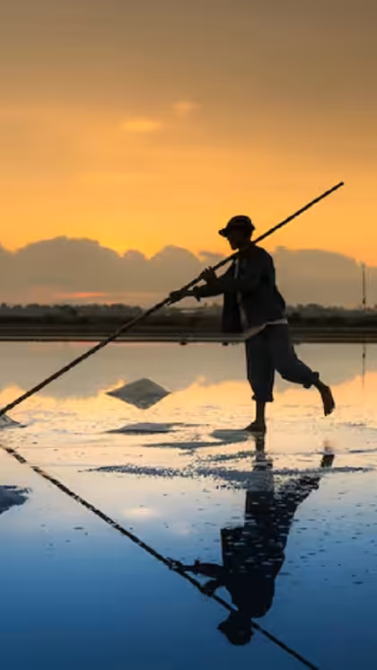 World's Largest Salt Producer