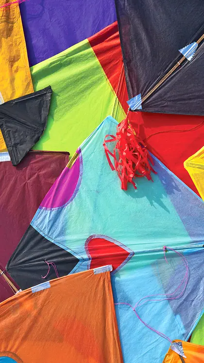 Makar Sankranti 2025: 5 things to AVOID doing on this day