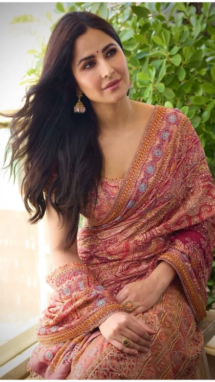 Katrina Kaif’s Wealth