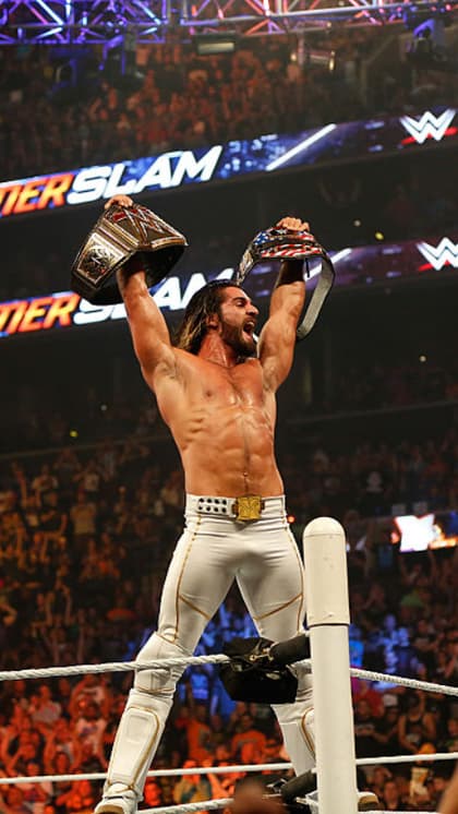 Seth Rollins earnings